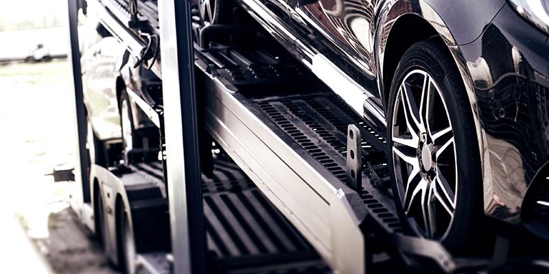 Movex Transporter